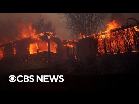 On-the-ground look at the Palisades Fire burning in southern California