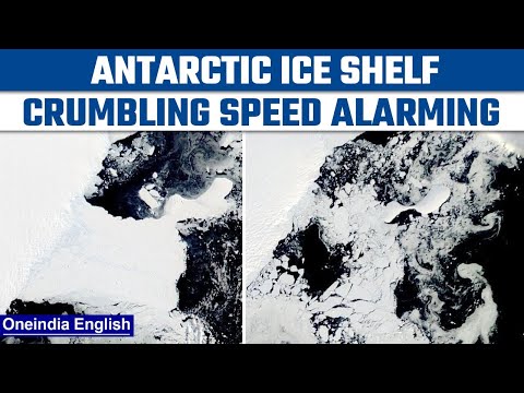 Antarctic ice shelf crumbling rapidly, shows NASA satellite imagery | OneIndia News *News