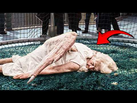 30 Scariest Things That Fell From The Sky &amp; Shocked Everyone