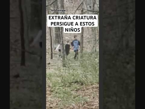 Video impresionante donde vemos a una criatura extraña perseguir. Dos niños en el bosque