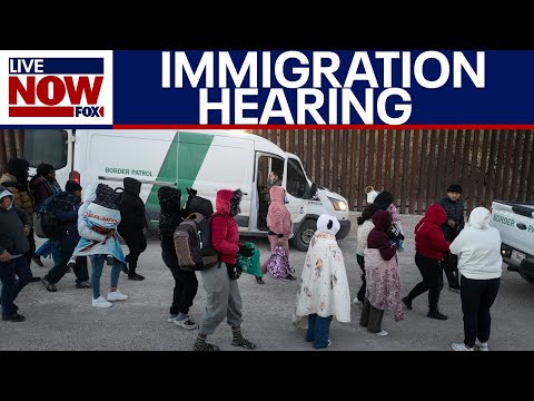 Illegal Immigration House Hearing and Upcoming ICE Raids in a Donald Trump Presidency | FULL HEARING