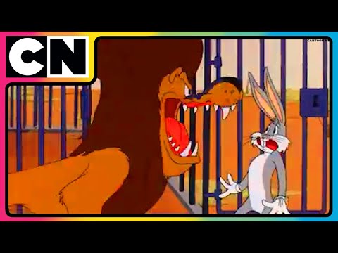 Looney Tunes🐰| Non-stop Fun 🤩| Let the Looney Fun Begin! 🤪 | 90s Cartoons | @cnindia