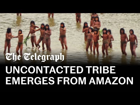 Rare footage of largest uncontacted tribe in the world shows &#039;disaster in the making&#039;