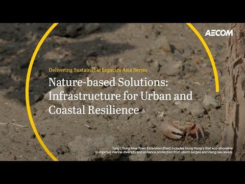 Nature-based solutions: bringing nature into the built environment for urban and coastal resilience