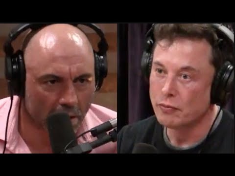 Joe Rogan - Elon Musk on Artificial Intelligence