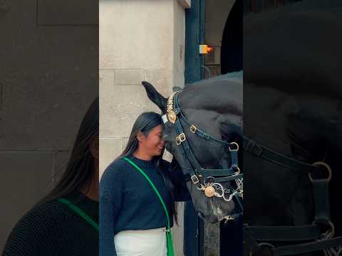 HORSE DISPLAYS HEAD TO HEAD AFFECTION? ✨🐎 | Horse Guards, Royal guard, Kings Guard, Horse, London