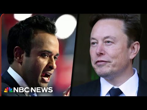 Trump taps Elon Musk, Vivek Ramaswamy to lead Department of Government Efficiency