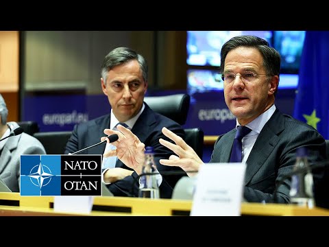 NATO Secretary General at joint committee meeting at the European Parliament, 13 JAN 2025