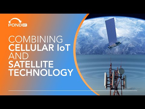 The Future of Global Connectivity: Satellite and Cellular IoT