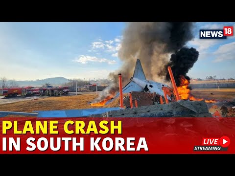 South Korea Plane Crash | 179 Passengers Dead | Jeju Air Plane Crashes At Muan Airport Live | N18G